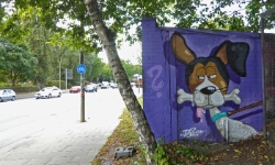 Graffiti an einer Mauer in der Volksparkstraße ab der Kreuzung mit der Kieler Str. , 0