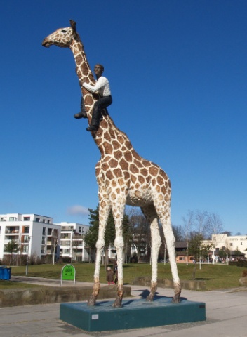 Mann auf Giraffe