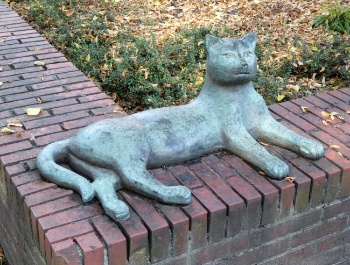 Katze auf Mauer liegend, Maria Pirwitz 1985