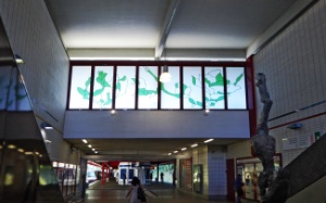 U-Bahnhof Hagenbecks Tierpark, oben Magnolia, rechts der Kronenkranich.