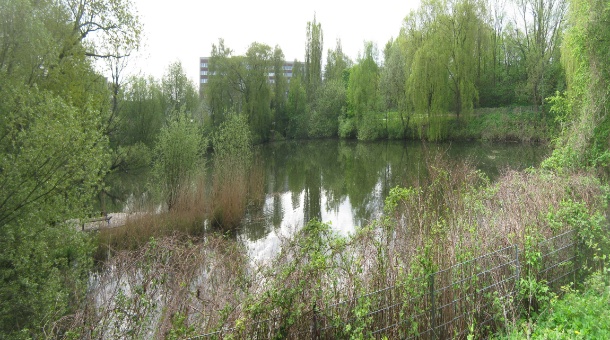 Der Ziegelteich in Stellingen-Langenfelde